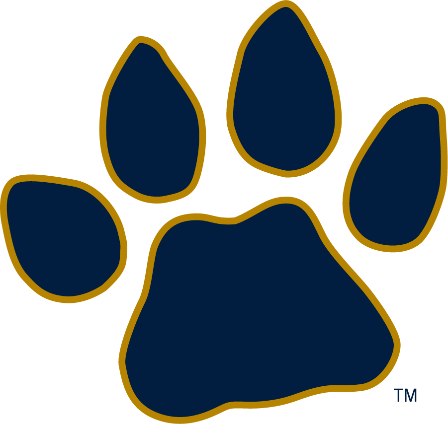 FIU Panthers 2016-Pres Secondary Logo diy iron on heat transfer